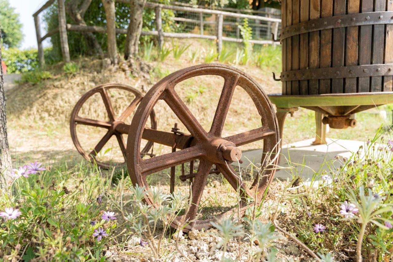 Montenovo Country House Ostra Vetere Kültér fotó