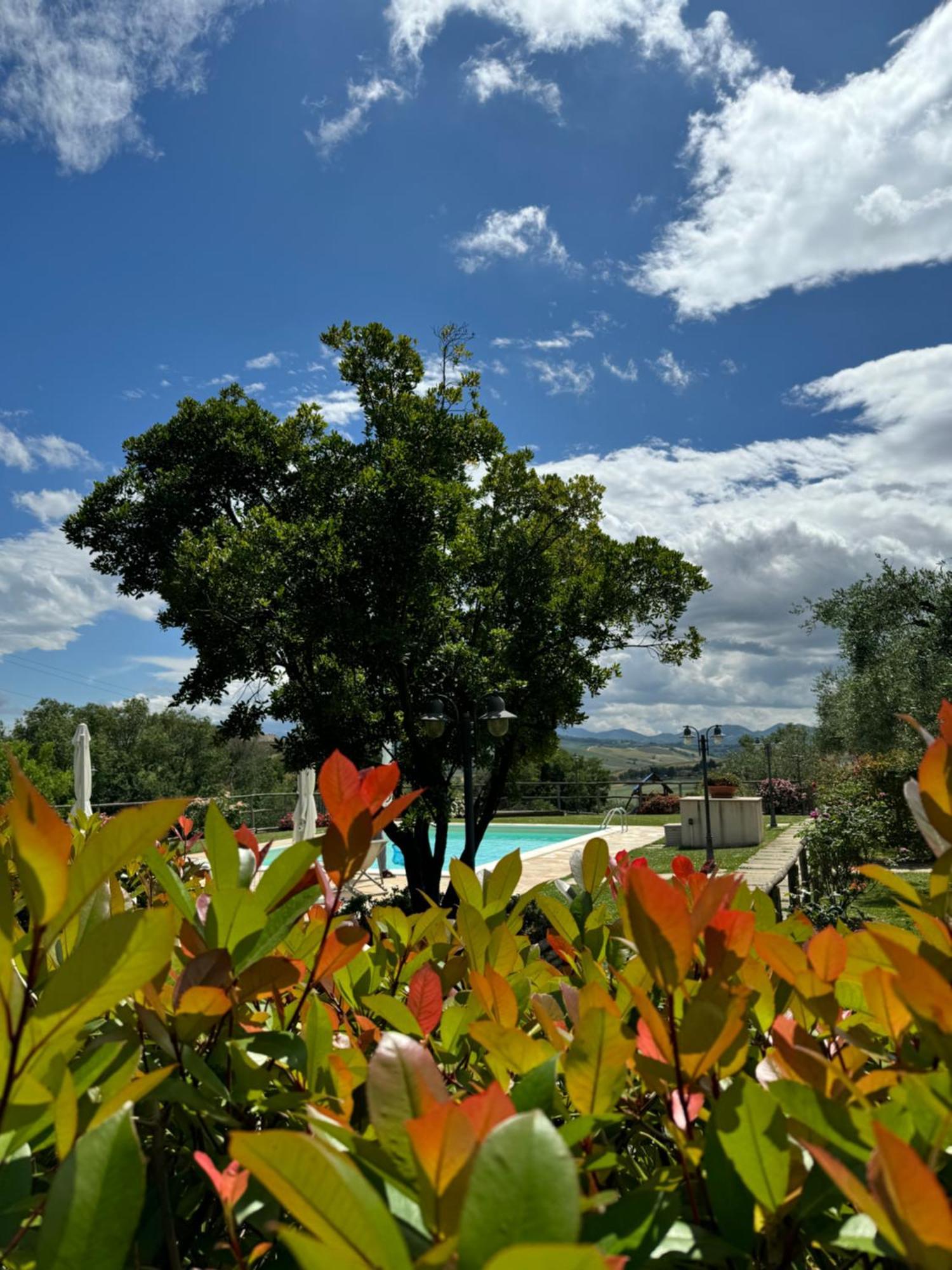 Montenovo Country House Ostra Vetere Kültér fotó