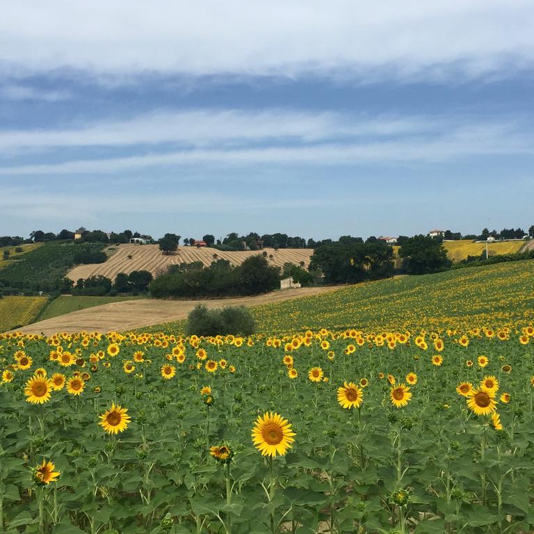 Montenovo Country House Ostra Vetere Kültér fotó